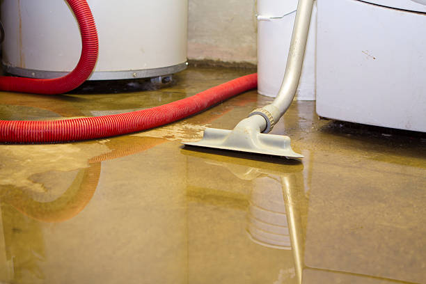 Trusted Water Damage Restoration in Marbury, AL | Fast, Reliable, and Ready to Assist You