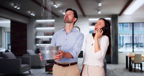 Best Water Damage Assessment and Inspection in Marbury, AL